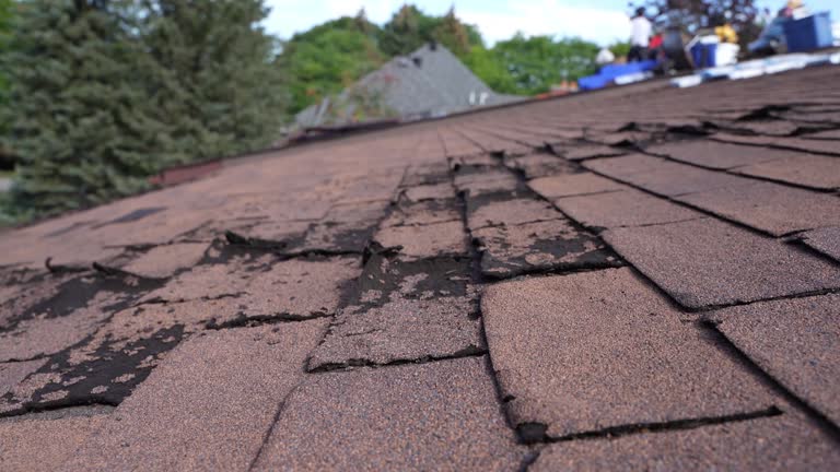 Best Roof Leak Repair  in Plainview, TX